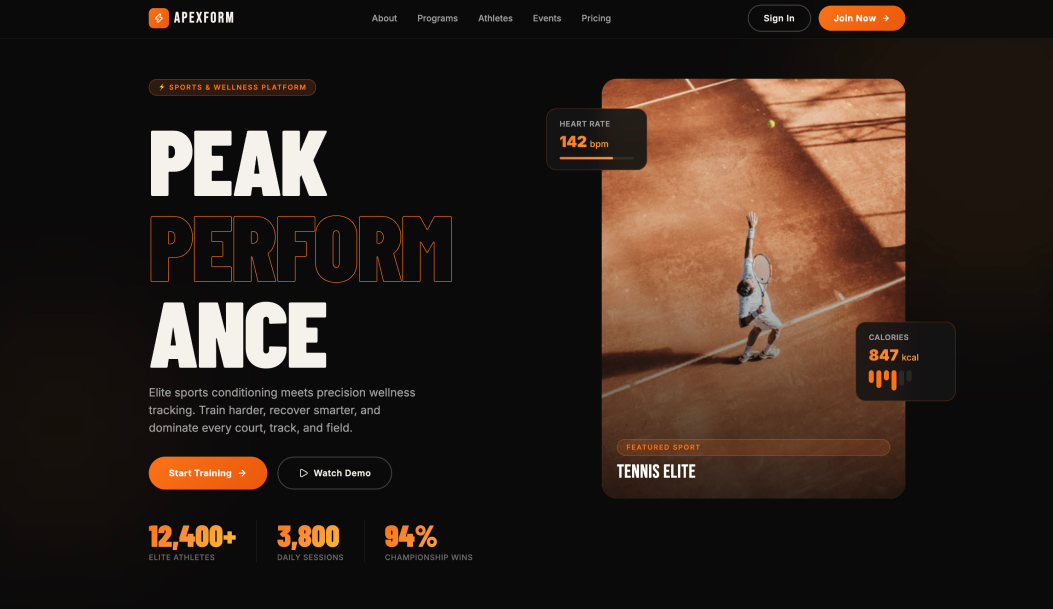 Website design example 5